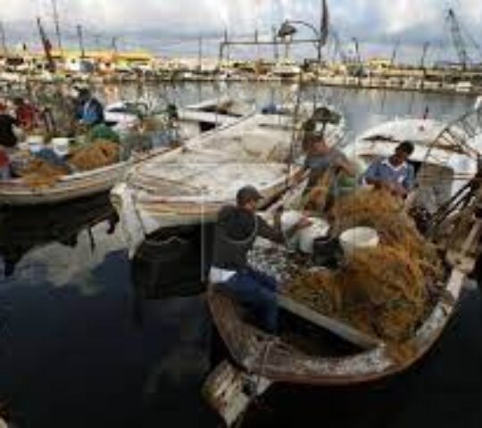 Fishermen Port